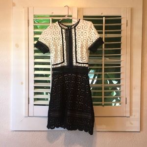 Black and White Lace Aqua Mini dress